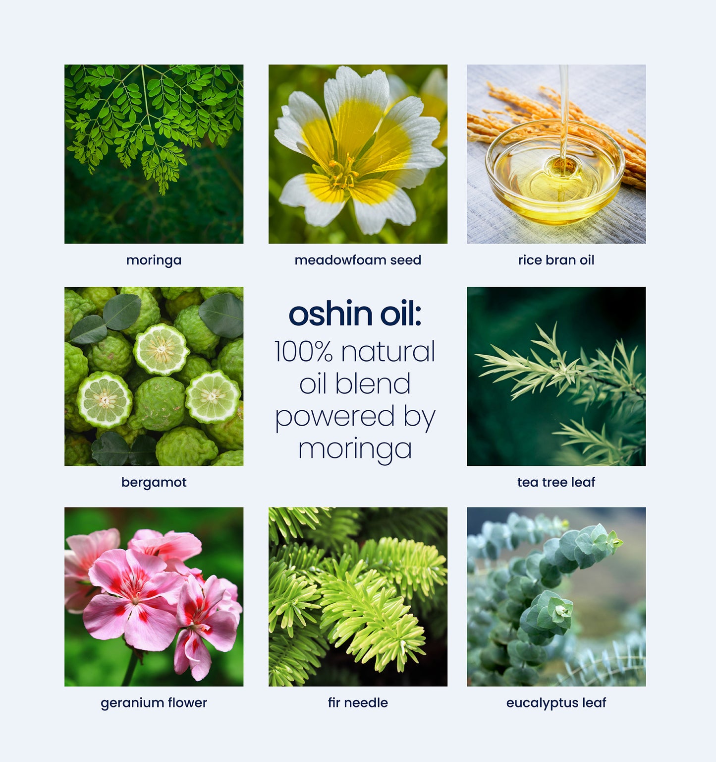 Oshin Oil