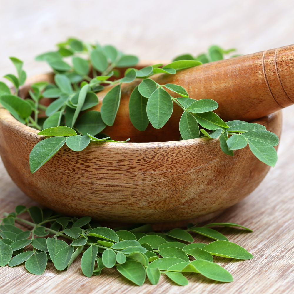 Harnessing Nature's Elixir: Exploring the Beauty and Health Benefits of Moringa Seed Oil