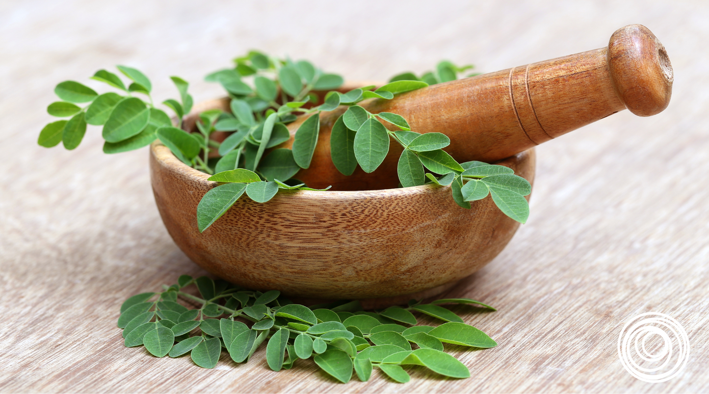 Harnessing Nature's Elixir: Exploring the Beauty and Health Benefits of Moringa Seed Oil